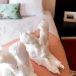 Vacation Fão